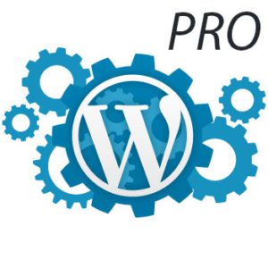Wordpress Maintenance Pro